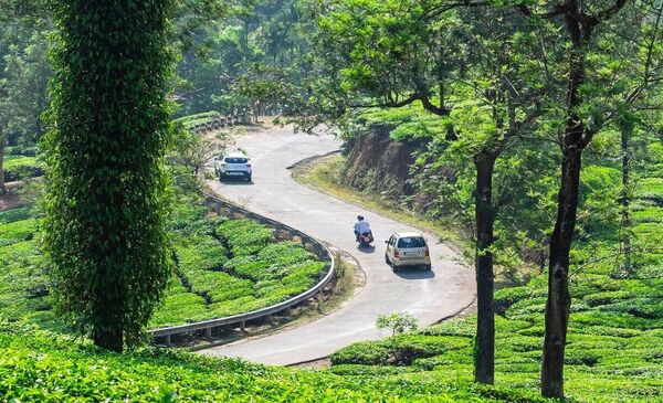 Mysore Ooty Coorg tour package, Bangalore Mysore Ooty Coorg tour package price, ooty coorg packages